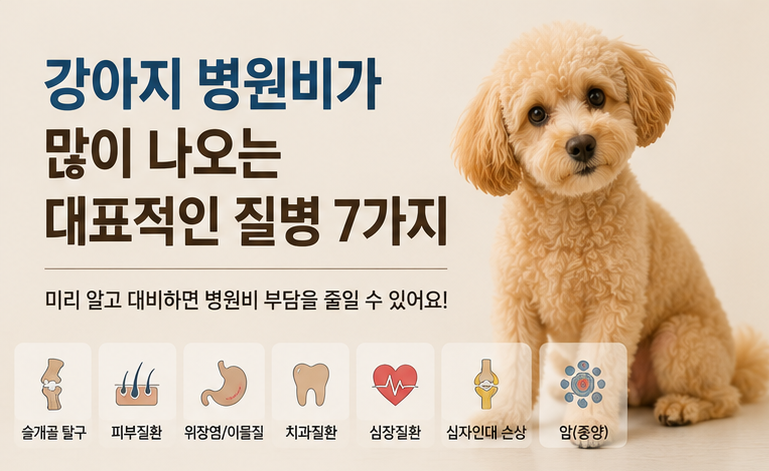 |미리 알면 병원비 부담을 줄일 수 있습니다