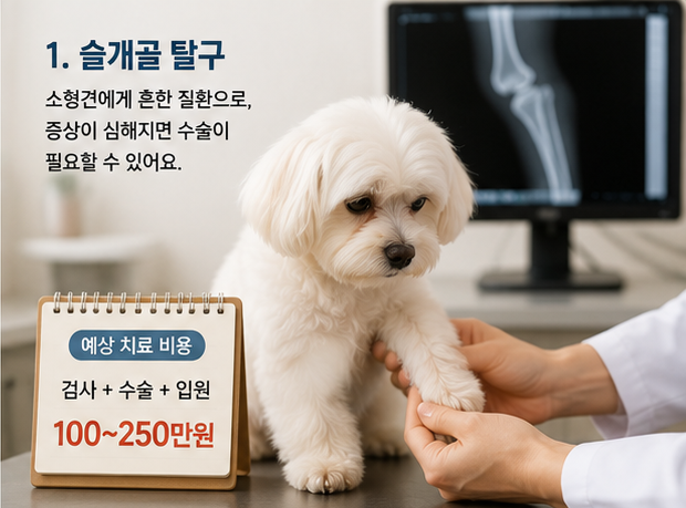 |미리 알면 병원비 부담을 줄일 수 있습니다