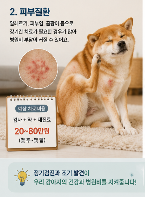 |미리 알면 병원비 부담을 줄일 수 있습니다