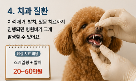 |미리 알면 병원비 부담을 줄일 수 있습니다