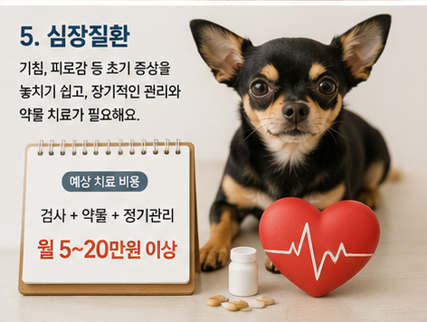 |미리 알면 병원비 부담을 줄일 수 있습니다