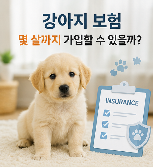 강아지 보험은 몇 살까지 가입할 수 있을까?