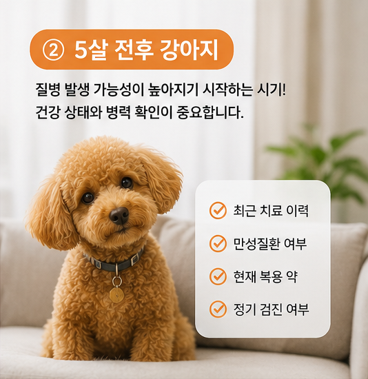 강아지 보험은 몇 살까지 가입할 수 있을까?