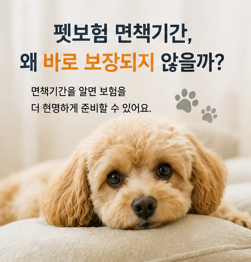 펫보험 가입 후 바로 보장되지 않는 진짜 이유